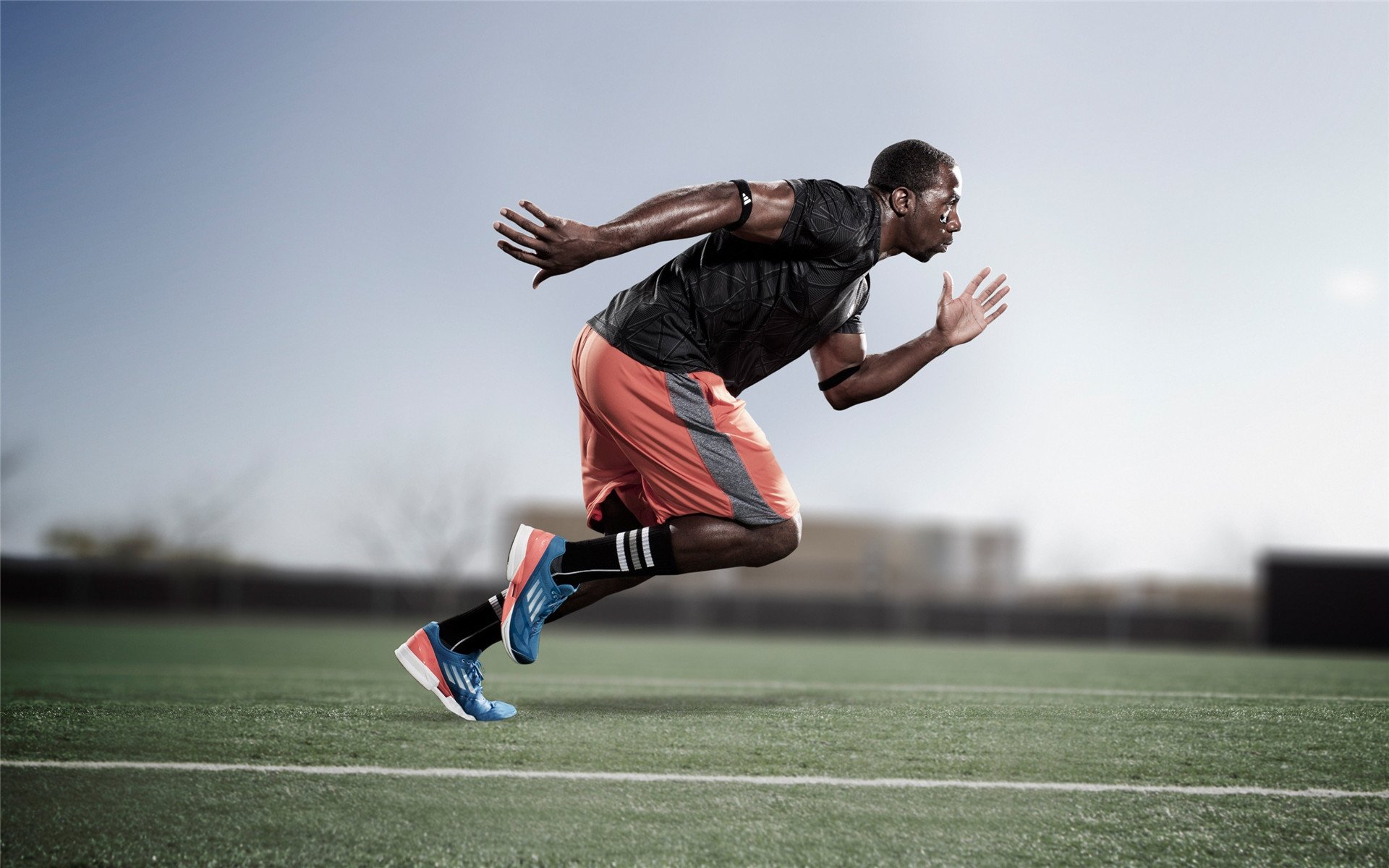 保利斯塔年轻阵容潜力巨大,保利斯丹